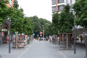 Ochrona drzew w przestrzeni miejskiej